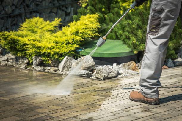 Best Sidewalk and Walkway Cleaning  in Buena Vista, MI