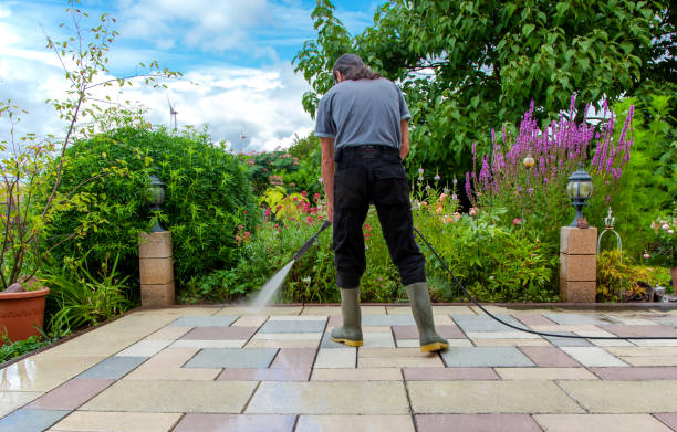 Professional Pressure Washing Services in Buena Vista, MI