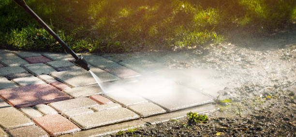 Best Solar Panel Cleaning  in Buena Vista, MI