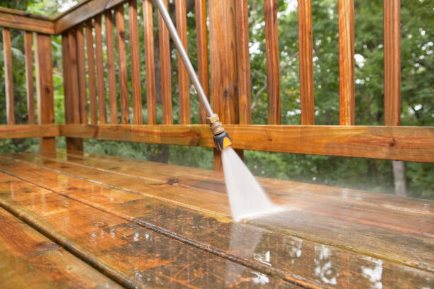 Best House Exterior Washing  in Buena Vista, MI