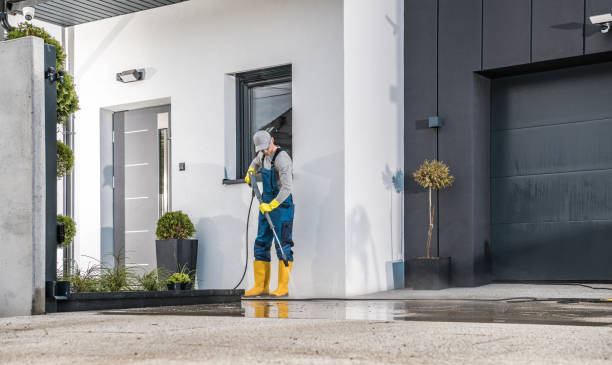 Best Driveway Pressure Washing  in Buena Vista, MI