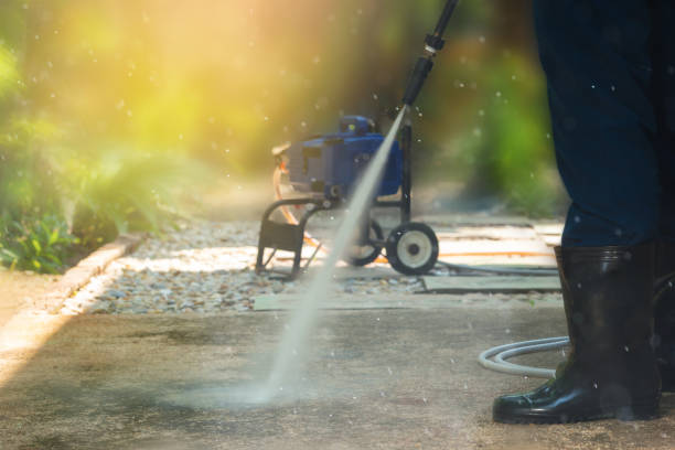 Animal Enclosure Cleaning in Buena Vista, MI